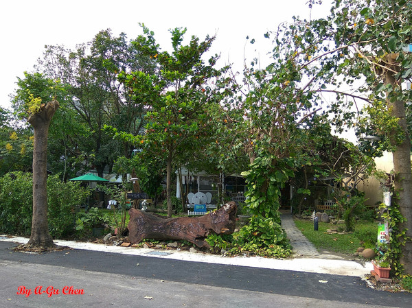 魔法森林：【臺南Ω安定區】魔法森林。彷彿置身在山林祕境中享用美食