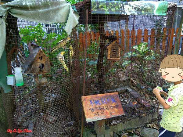 魔法森林：【臺南Ω安定區】魔法森林。彷彿置身在山林祕境中享用美食