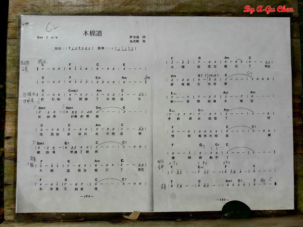 魔法森林：【臺南Ω安定區】魔法森林。彷彿置身在山林祕境中享用美食