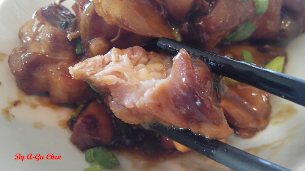 魔法森林：【臺南Ω安定區】魔法森林。彷彿置身在山林祕境中享用美食