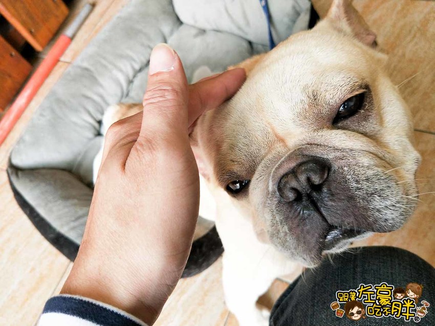 澎湖民宿 愛恩居spa海景民宿-81