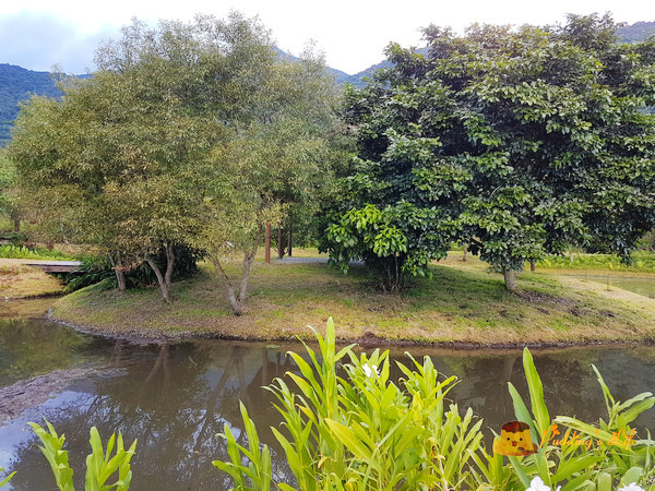 nEO_IMG_20160623_172916