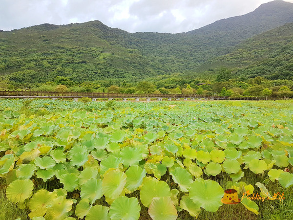 nEO_IMG_20160623_172352