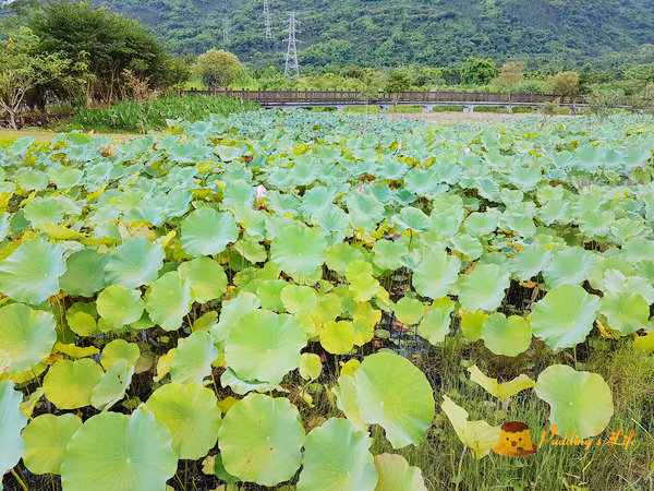 nEO_IMG_20160623_172254