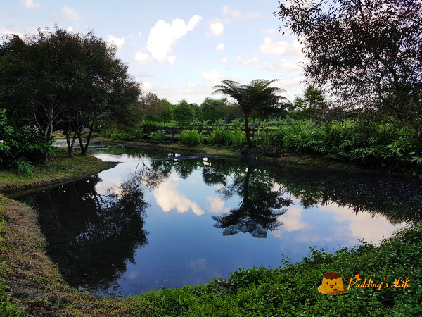 nEO_IMG_20160623_171343