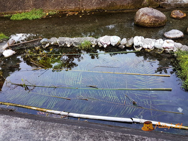 nEO_IMG_20160623_170922