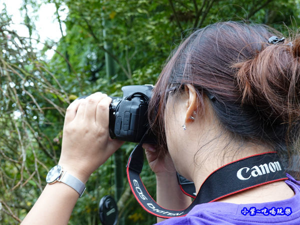 南投-武岫農圃  (21).jpg