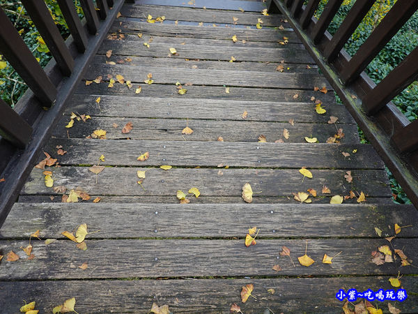 武岫農圃-銀杏林觀景步道 (34).jpg