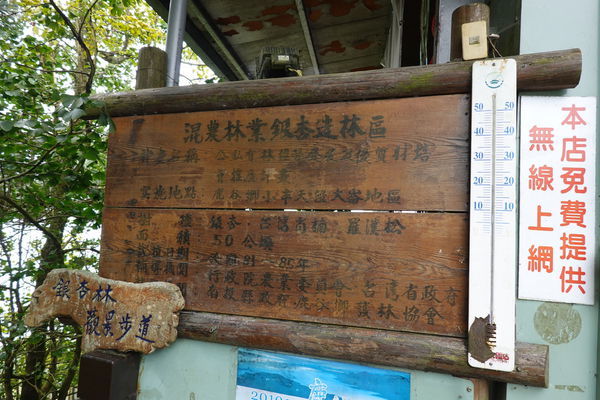 武岫農圃-銀杏林觀景步道 (22).JPG