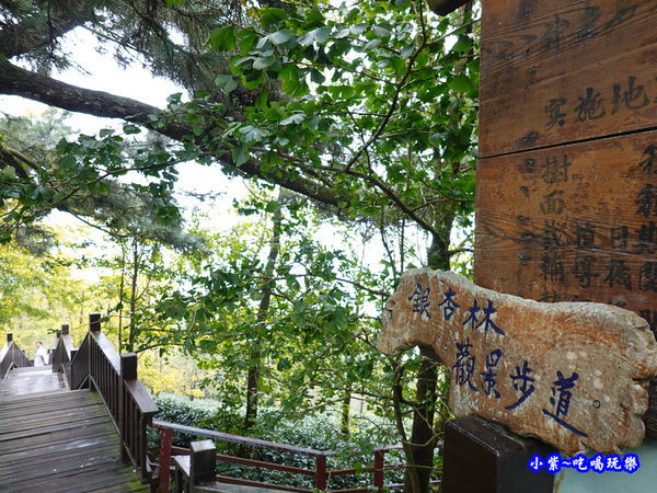 武岫農圃-銀杏林觀景步道 (2).jpg