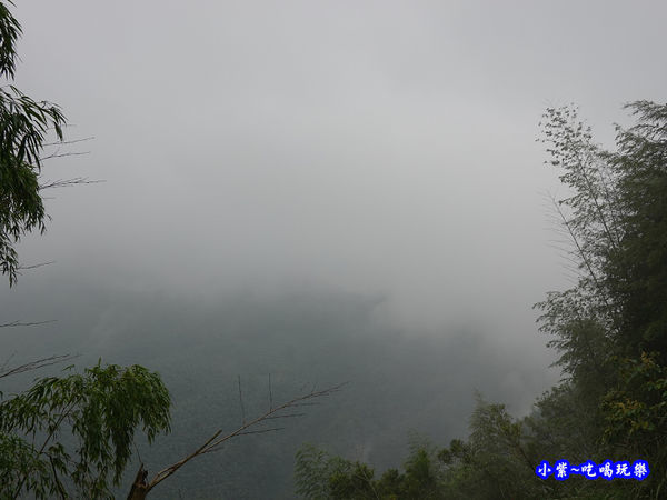 南投-武岫農圃  (22).jpg