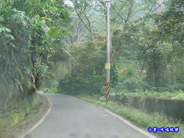 小半天往銀杏林產業道路.jpg