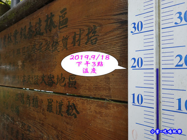 武岫農圃-銀杏林觀景步道 (26).jpg