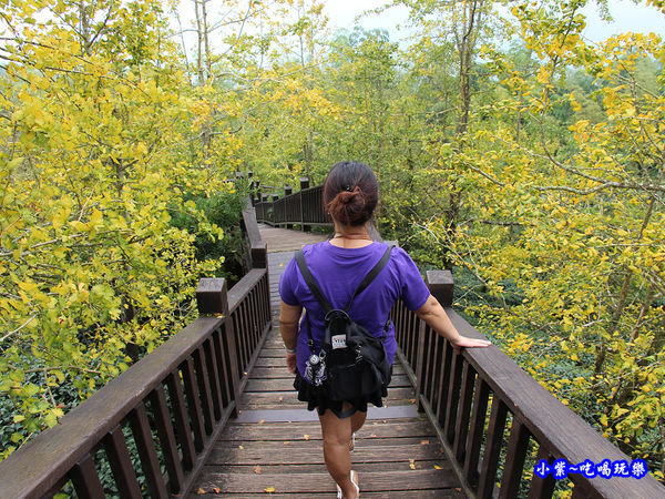 武岫農圃-銀杏林觀景步道 (35).jpg