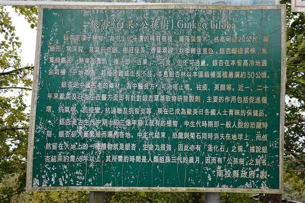 南投-武岫農圃  (12).JPG