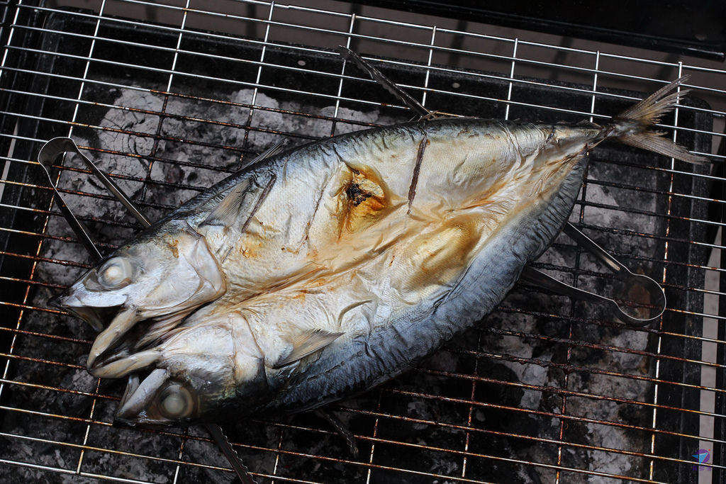 IMG_5669_结果 IMG_5669_结果