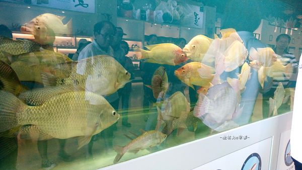 20161002_135825.jpg 20161002_135825.jpg