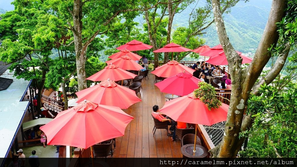 DSC03597.jpg DSC03597.jpg