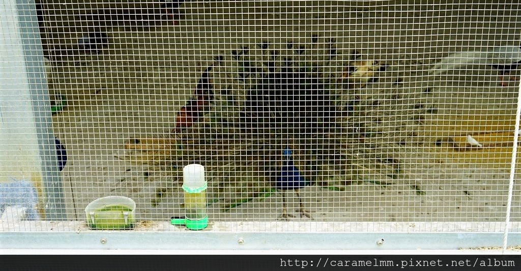 DSC03520.jpg DSC03520.jpg