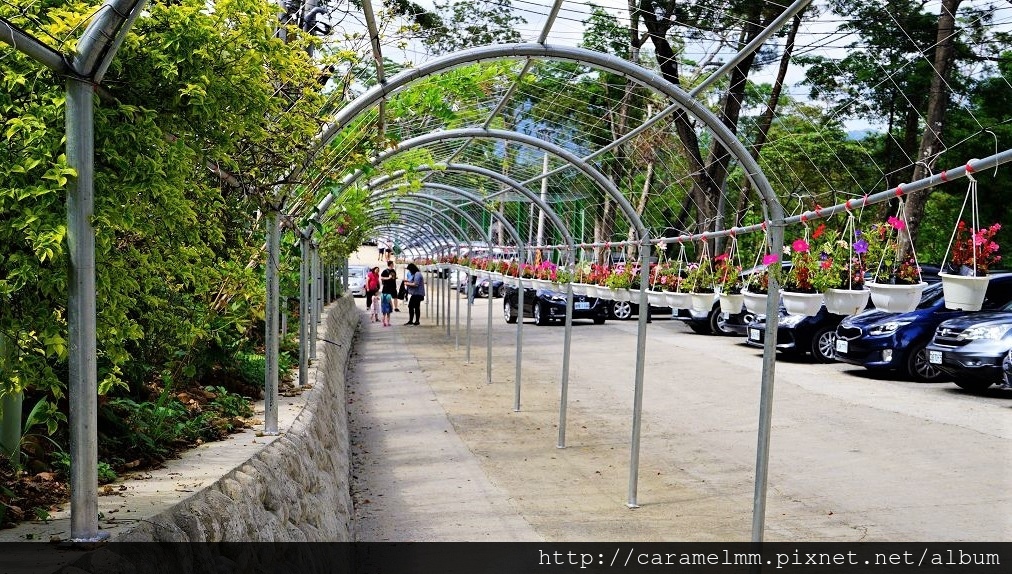 DSC03670.jpg DSC03670.jpg