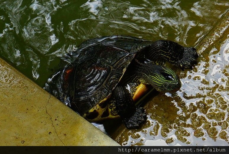 DSC03645.jpg DSC03645.jpg