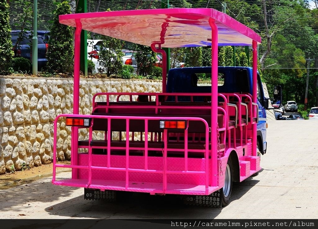 DSC03475.jpg DSC03475.jpg