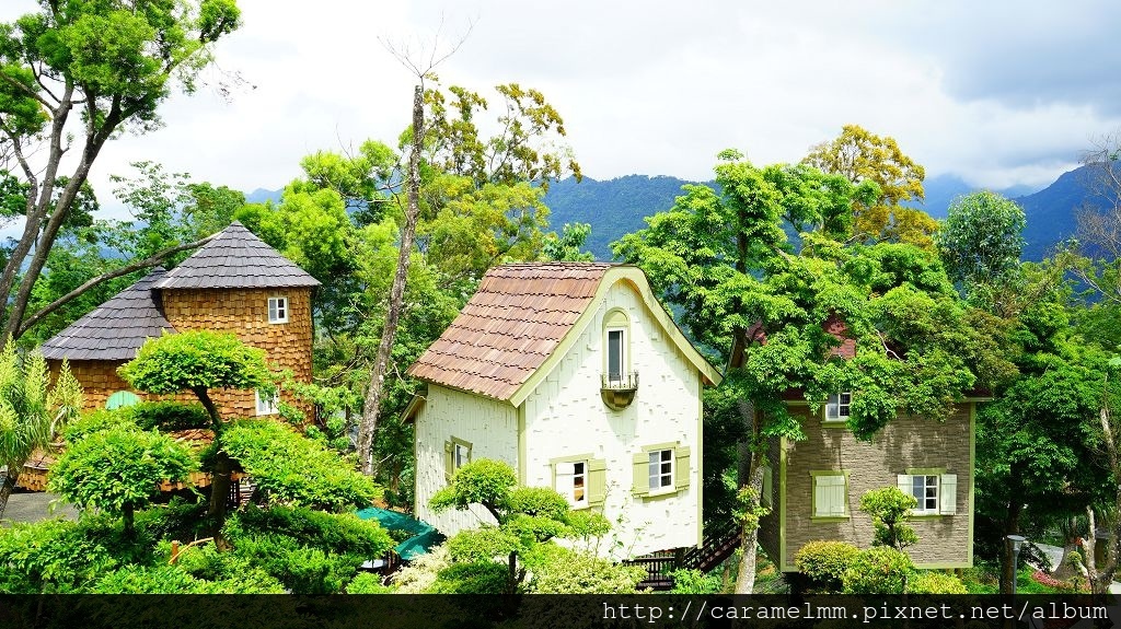 DSC03611.jpg DSC03611.jpg