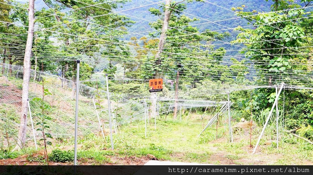 DSC03616.jpg DSC03616.jpg