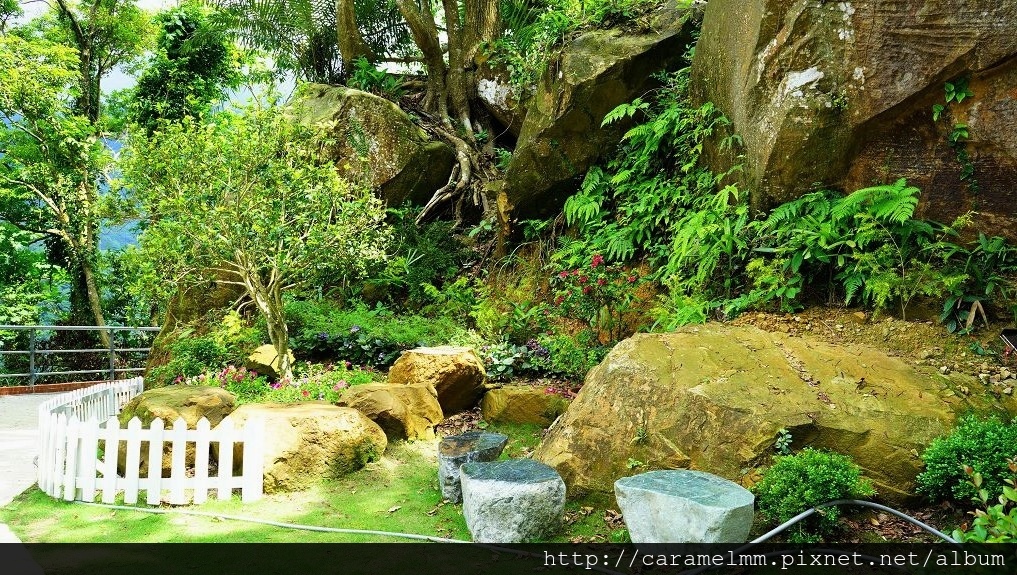 DSC03630.jpg DSC03630.jpg