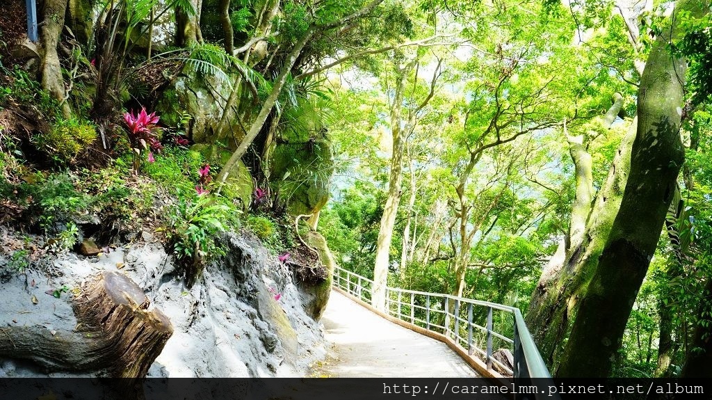 DSC03623.jpg DSC03623.jpg