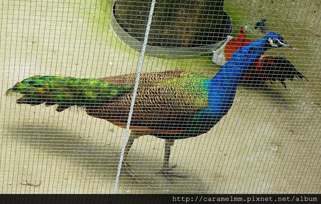 DSC03518.jpg DSC03518.jpg