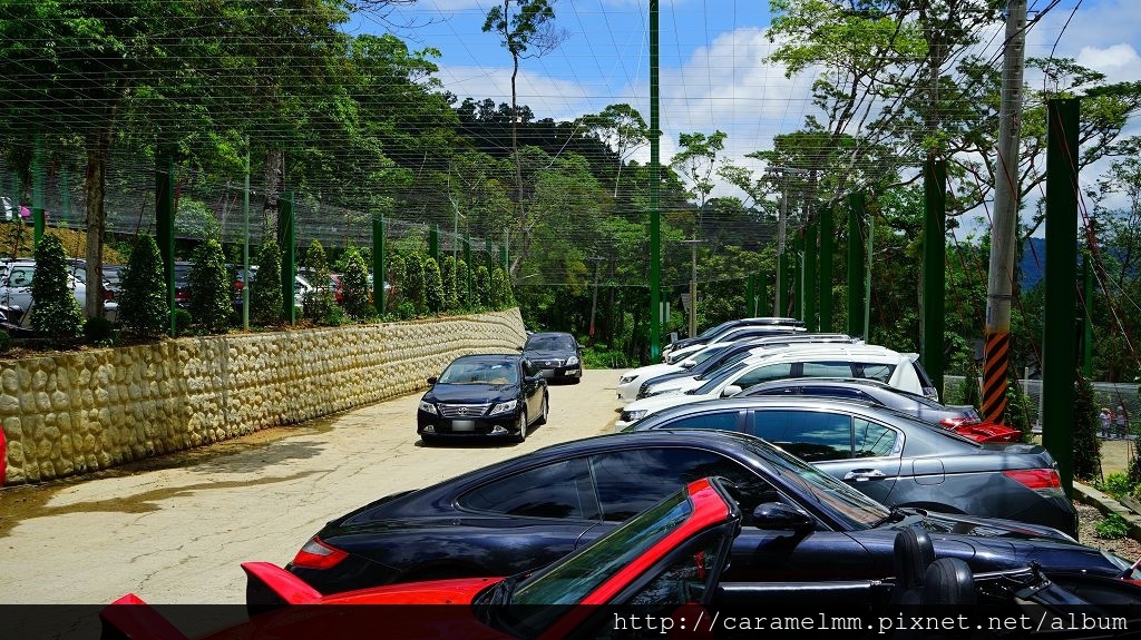 DSC03477.jpg DSC03477.jpg