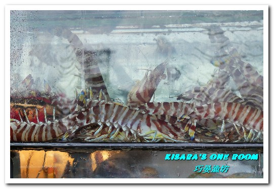 巧晏漁坊:萬里蟹美食.龜吼漁港新進優質親切現撈海鮮店家──巧晏漁坊.上