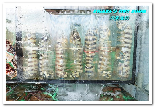 巧晏漁坊:萬里蟹美食.龜吼漁港新進優質親切現撈海鮮店家──巧晏漁坊.上