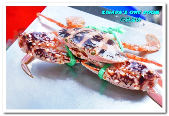 巧晏漁坊:萬里蟹美食.龜吼漁港新進優質親切現撈海鮮店家──巧晏漁坊.上
