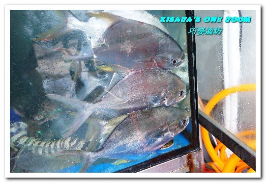 巧晏漁坊:萬里蟹美食.龜吼漁港新進優質親切現撈海鮮店家──巧晏漁坊.上