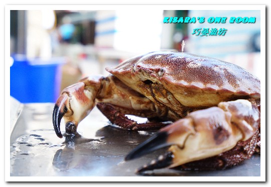 巧晏漁坊:萬里蟹美食.龜吼漁港新進優質親切現撈海鮮店家──巧晏漁坊.上