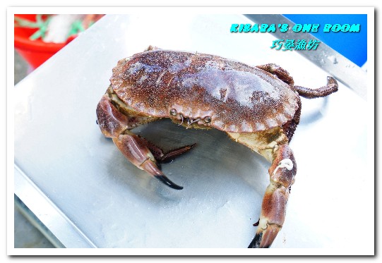 巧晏漁坊:萬里蟹美食.龜吼漁港新進優質親切現撈海鮮店家──巧晏漁坊.上