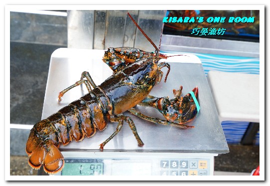 巧晏漁坊:萬里蟹美食.龜吼漁港新進優質親切現撈海鮮店家──巧晏漁坊.上