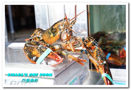 巧晏漁坊:萬里蟹美食.龜吼漁港新進優質親切現撈海鮮店家──巧晏漁坊.上