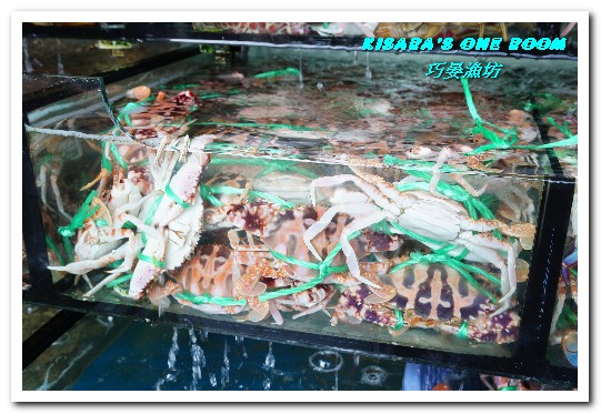 巧晏漁坊:萬里蟹美食.龜吼漁港新進優質親切現撈海鮮店家──巧晏漁坊.上