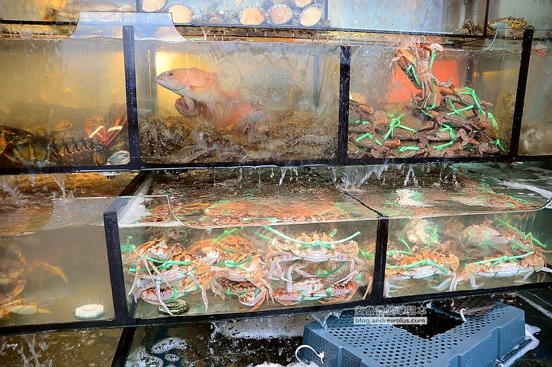 巧晏漁坊-平價實惠和海鮮現撈仔新鮮漁家料理,吃大沙母,花蟹,三點蟹,石蟳就在這裡@新北市萬里區/中式料理/海鮮餐廳/當季漁獲/萬里蟹/龜吼漁港