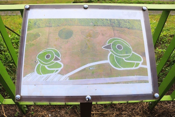 鴨鴨地景藝術公園 ( 鴨鴨公園 ):【新北市景點】三重鴨鴨地景藝術公園DUCKLING PARK~NO外星人的麥田圈/親子旅遊/賞花景點