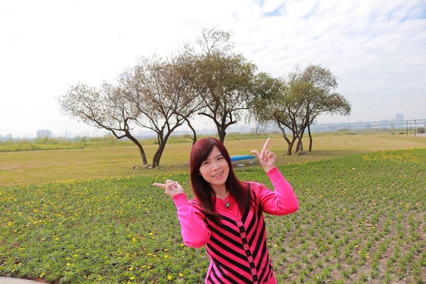 鴨鴨地景藝術公園 ( 鴨鴨公園 ):【新北市景點】三重鴨鴨地景藝術公園DUCKLING PARK~NO外星人的麥田圈/親子旅遊/賞花景點