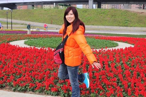 鴨鴨地景藝術公園 ( 鴨鴨公園 ):【新北市景點】三重鴨鴨地景藝術公園DUCKLING PARK~NO外星人的麥田圈/親子旅遊/賞花景點