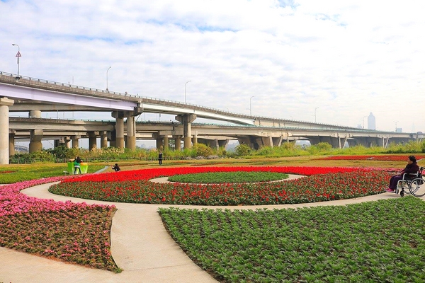 鴨鴨地景藝術公園 ( 鴨鴨公園 ):【新北市景點】三重鴨鴨地景藝術公園DUCKLING PARK~NO外星人的麥田圈/親子旅遊/賞花景點