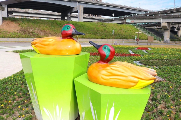 鴨鴨地景藝術公園 ( 鴨鴨公園 ):【新北市景點】三重鴨鴨地景藝術公園DUCKLING PARK~NO外星人的麥田圈/親子旅遊/賞花景點