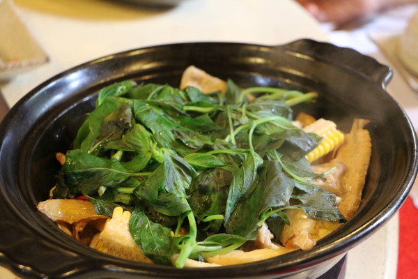 雲遊山水 掏金農遊趣 x 私房景點一次搜刮,歸去來茶坊、虎尾厝沙龍、虎尾老街古早味碳烤鴨蛋糕、特製麻糬大王