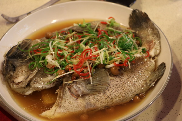 雲遊山水 掏金農遊趣 x 私房景點一次搜刮,歸去來茶坊、虎尾厝沙龍、虎尾老街古早味碳烤鴨蛋糕、特製麻糬大王