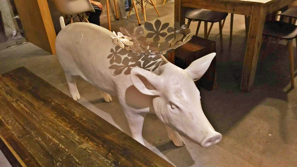 20133328_1559435324108609_689722750_o